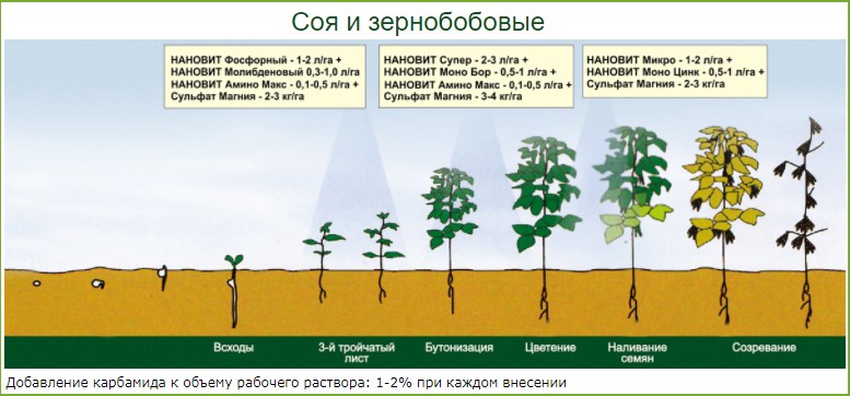 Технология возделывания сои схема